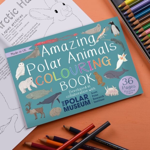 Amazing Polar Animals Colouring Book