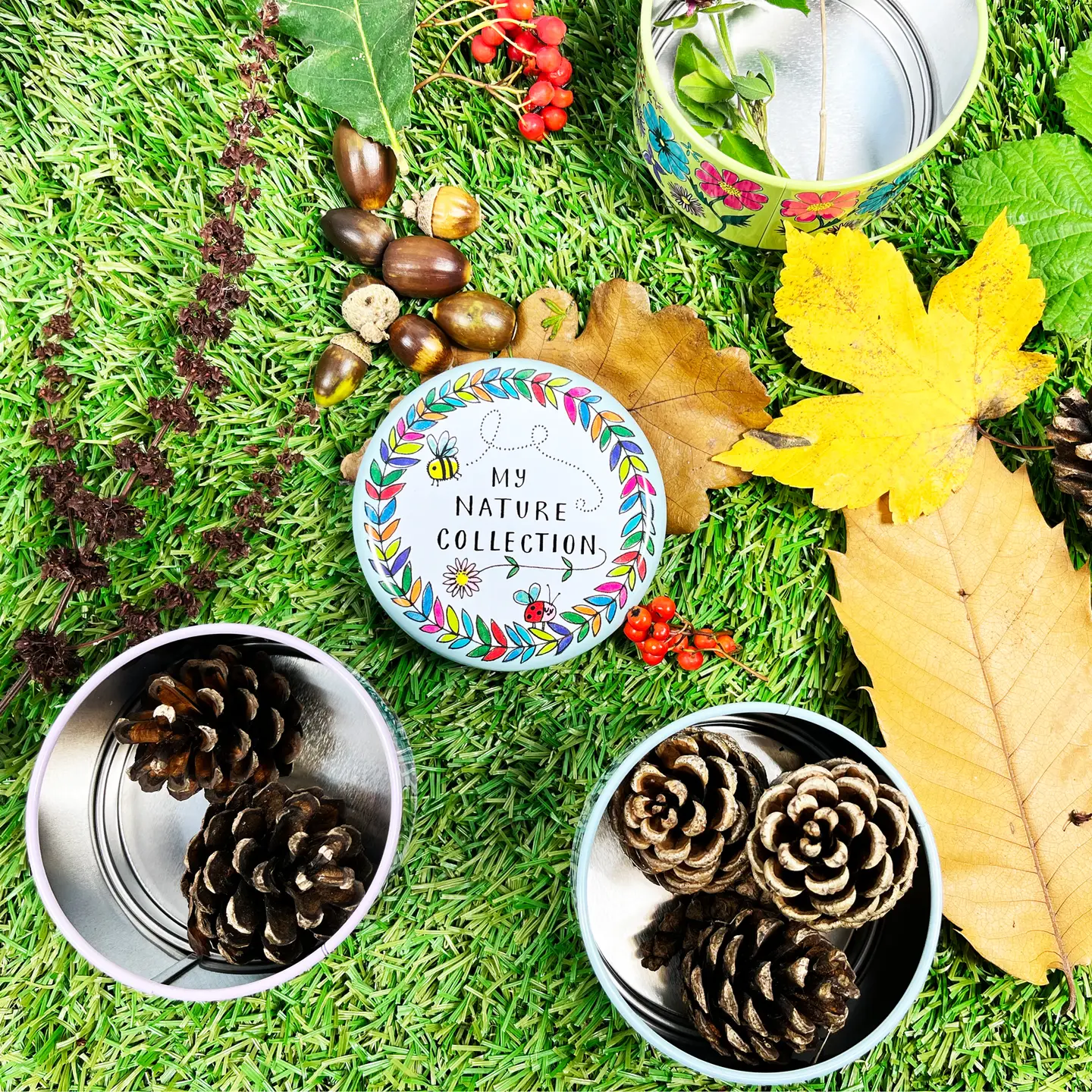 My Nature Collection Stacking Tin