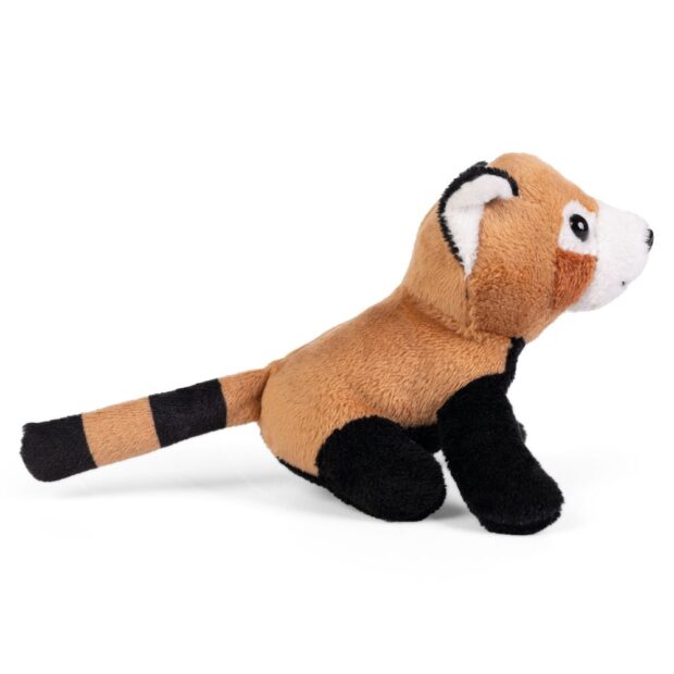 Red Panda Little Living Nature