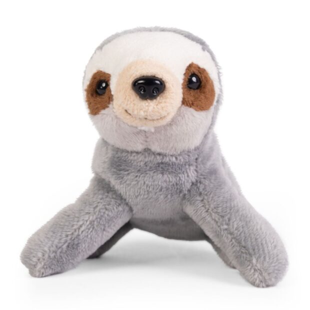 Sloth Little Living Nature