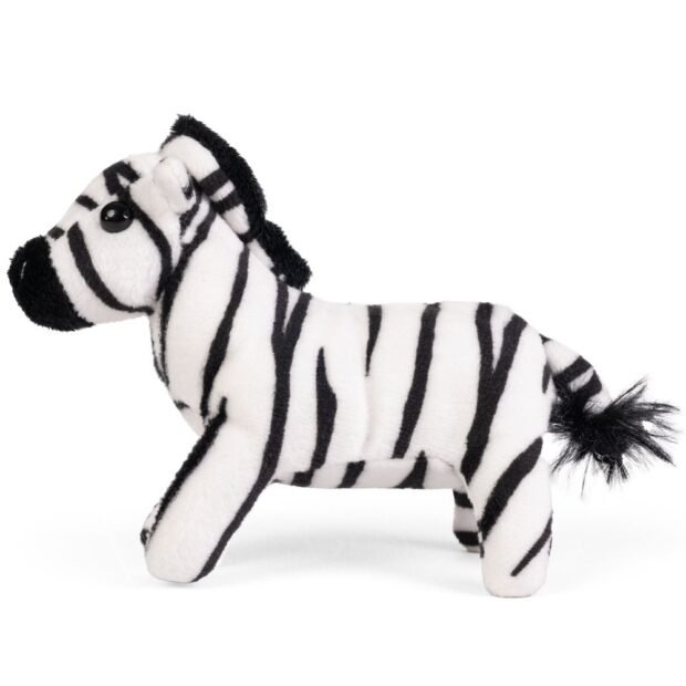 Zebra Little Living Nature