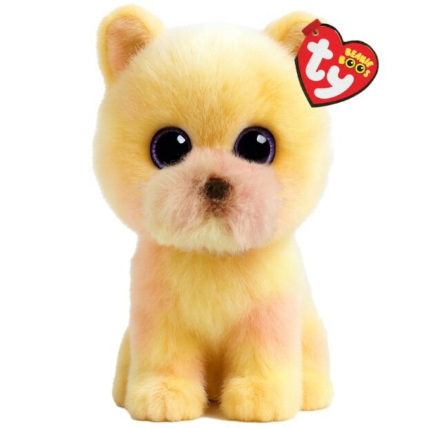 TY Palmer Pomeranian