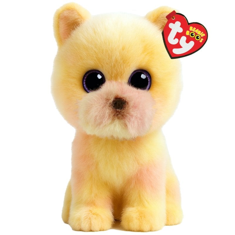 TY Palmer Pomeranian